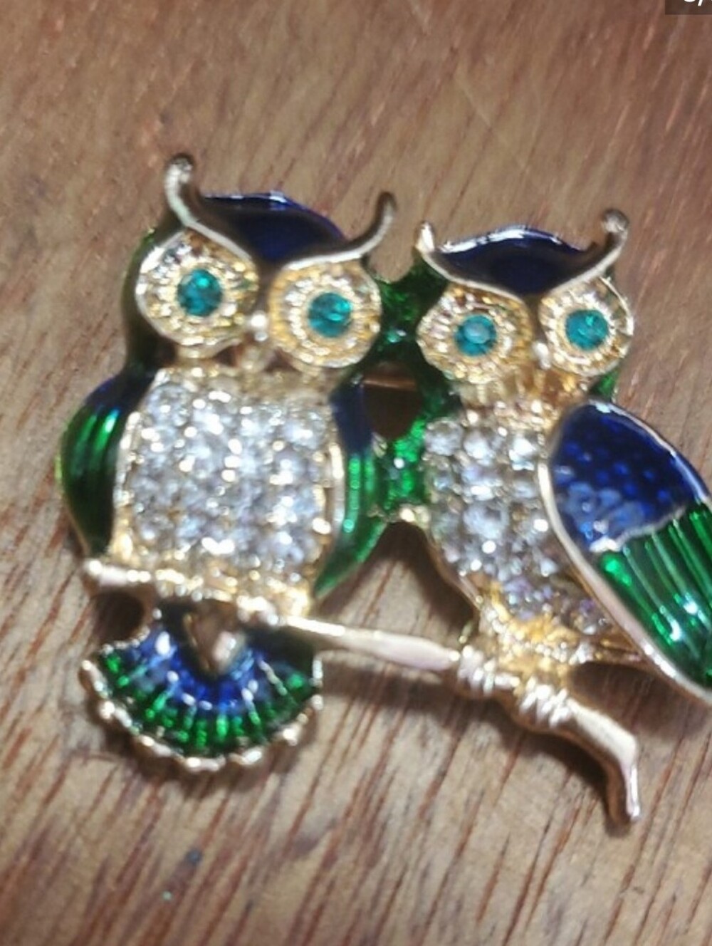 Gold-Tone Blue & Green Enamil & Crystal Owl Brooch D
